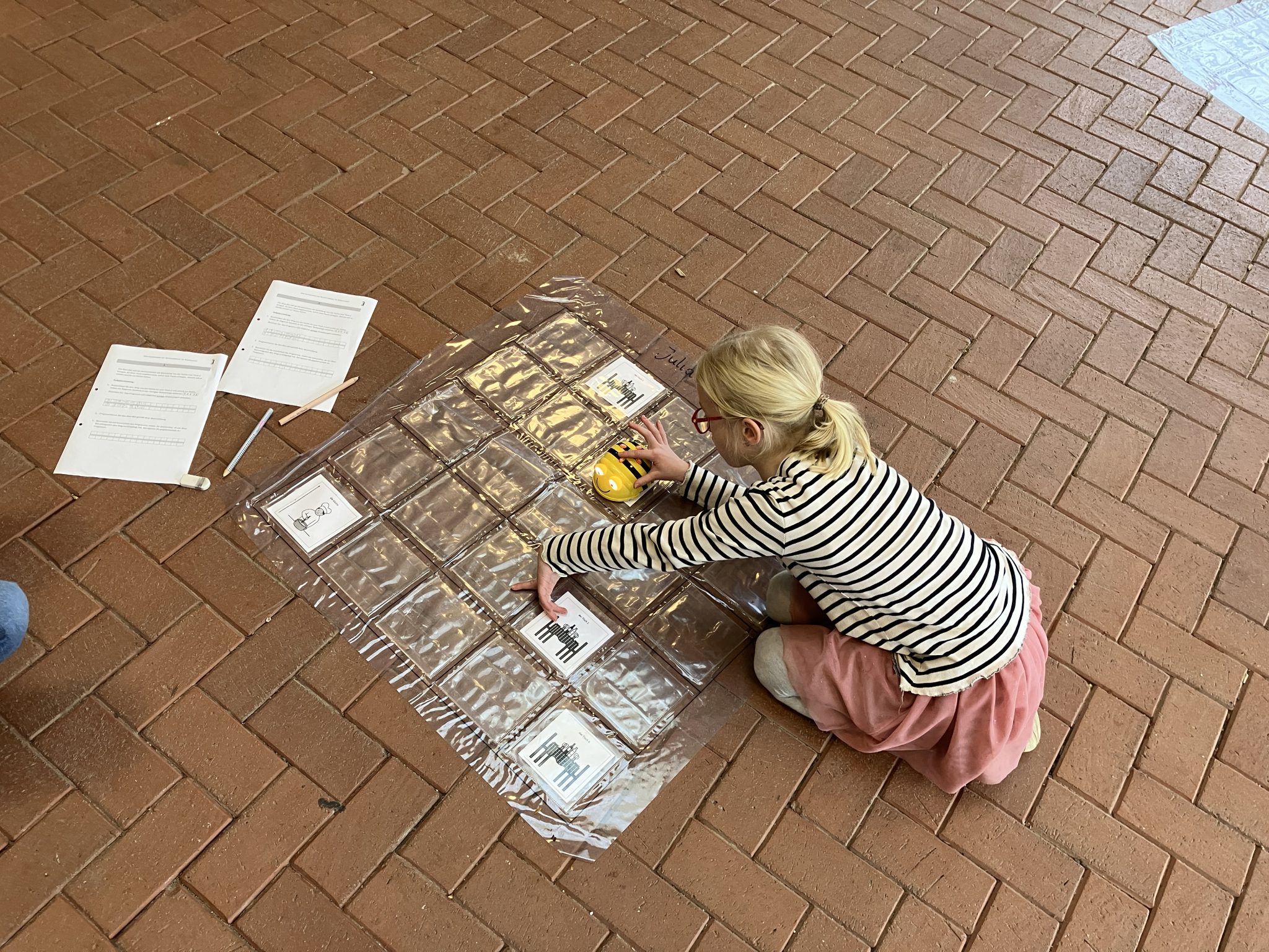 Wir lernen Programmieren mit den Bee-Bots! 🐝